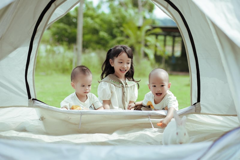 Camping Stove