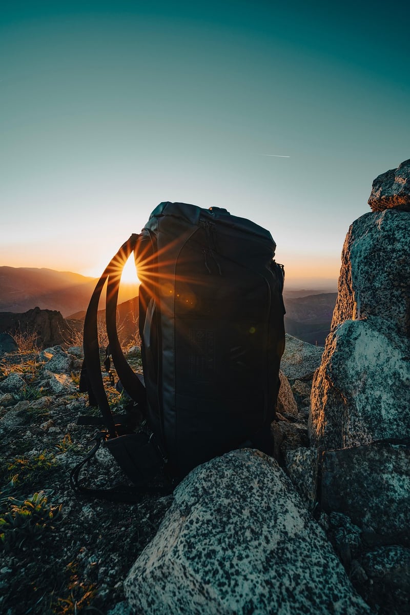 Travelers Backpack